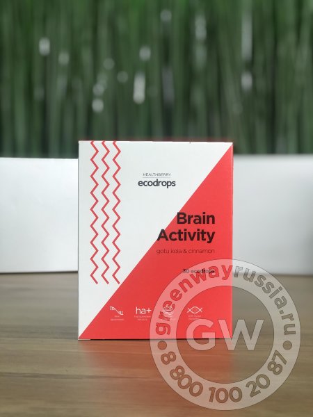 КАРАМЕЛЬ ЛЕДЕНЦОВАЯ HEALTHBERRY ECODROPS BRAIN ACTIVITY, 30 ШТ